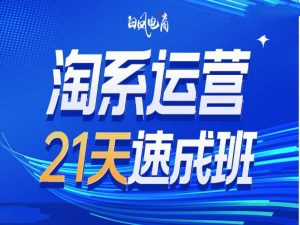 淘系运营21天速成班35期,年前最后一波和2025方向-88共享