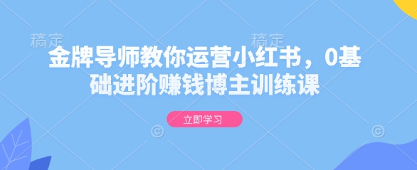 金牌导师教你运营小红书，0基础进阶赚钱博主训练课-88共享
