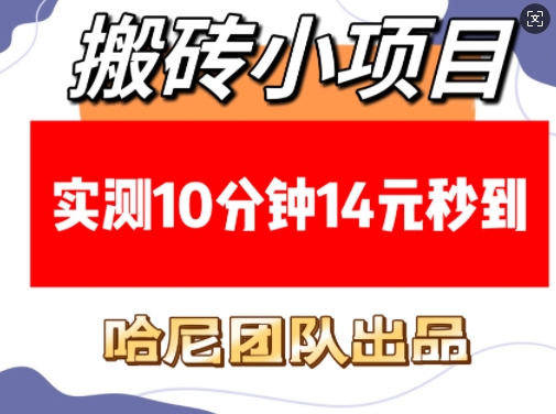 搬砖小项目，实测10分钟14元秒到，每天稳定几张(赠送必看稳定)-88共享
