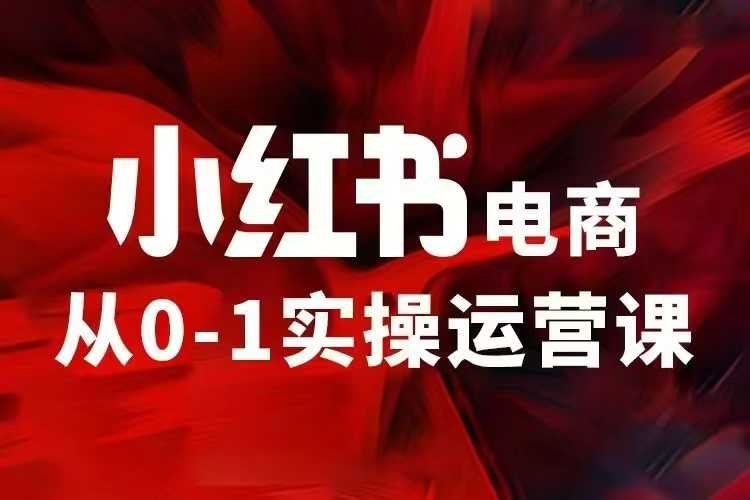 小红书电商运营，97节小红书vip内部课，带你实现小红书赚钱-88共享