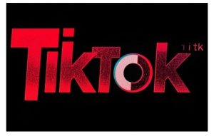 TikTok ads投流秘籍,涵盖tiktok整体投放思路,教你搭建测试计划-88共享