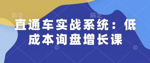 直通车实战系统：低成本询盘增长课，让个人通过技能实现升职加薪，让企业低成本获客，订单源源不断-88共享