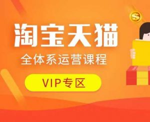 淘宝天猫全体系运营课程：店铺全系运营、动销玩法、付费推广、流量提升、擦边球玩法等等-88共享