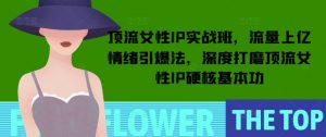 顶流女性IP实战班，流量上亿情绪引爆法，深度打磨顶流女性IP硬核基本功-88共享
