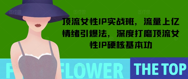 顶流女性IP实战班，流量上亿情绪引爆法，深度打磨顶流女性IP硬核基本功-88共享