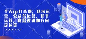 个人ip打造课，私域运营，公众号运营，知乎运营，底层逻辑和方向定位等-88共享