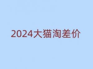 2024版大猫淘差价课程,新手也能学的无货源电商课程-88共享