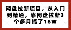 网盘拉新项目,从入门到精通,靠网盘拉新3个多月搞了16W-88共享