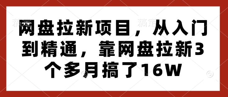 网盘拉新项目，从入门到精通，靠网盘拉新3个多月搞了16W-88共享