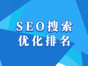 抖音搜索SEO教程，抖音SEO搜索优化排名-88共享