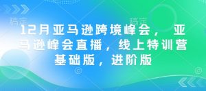 12月亚马逊跨境峰会, 亚马逊峰会直播,线上特训营基础版,进阶版-88共享