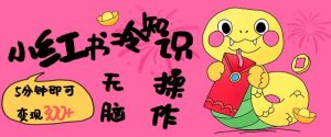 小红书冷知识账号，无脑复制粘贴，5分钟即可变现3张-88共享