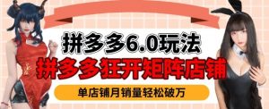 拼多多虚拟商品暴利6.0玩法,轻松实现月入过W-88共享
