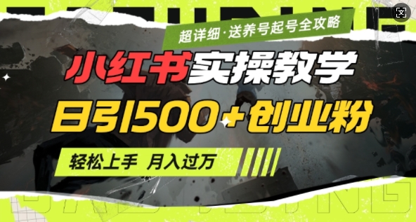 2月小红书最新日引500+创业粉实操教学【超详细】小白轻松上手，月入1W+，附小红书养号起号SOP-88共享