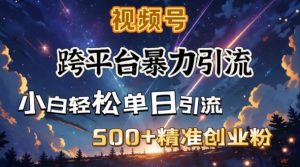 跨平台暴力引流,私域完美闭环,日引500+精准创业粉-88共享