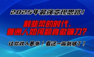 2025年最强变现思路,割韭菜的时代, 普通人如何翻身做镰刀?【揭秘】-88共享