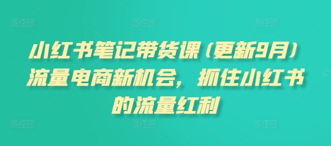 小红书笔记带货课(更新25年2月)流量电商新机会，抓住小红书的流量红利-88共享