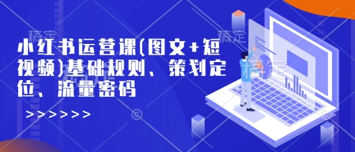 小红书运营课(图文+短视频)基础规则、策划定位、流量密码-88共享