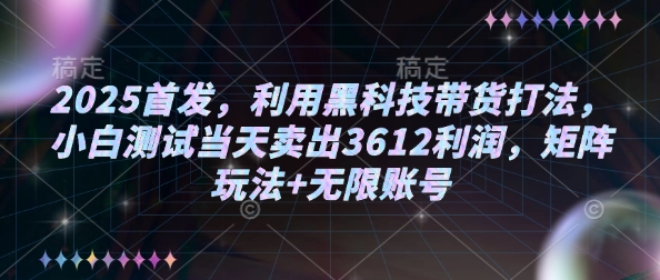 2025首发，利用黑科技带货打法，小白测试当天卖出3612利润，矩阵玩法+无限账号【揭秘】-88共享