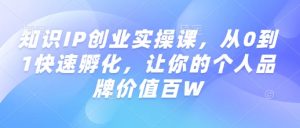 知识IP创业实操课,从0到1快速孵化,让你的个人品牌价值百W-88共享