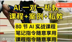 AI指令实战课,课程+案例,80节AI实战课程,笔记指令随意享用,课程指令随意享用-88共享