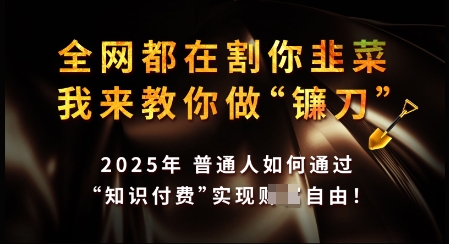 知识付费如何做到月入过W+，2025我来教你做“镰刀”【揭秘】-88共享