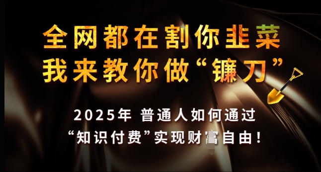 全网都在割你韭菜，我来教你做镰刀，2025年普通人如何通过 知识付费 实现财F自由【揭秘】-88共享