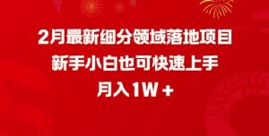 2月最新细分领域落地项目，新手小白也可快速上手，月入1W-88共享