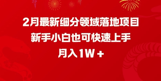 2月最新细分领域落地项目，新手小白也可快速上手，月入1W-88共享