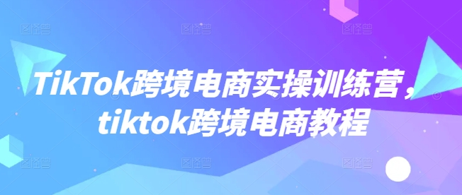 TikTok跨境电商实操训练营，tiktok跨境电商教程-88共享