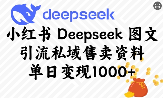 小红书Deepseek图文引流私域售卖资料，单日变现多张-88共享