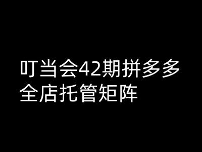 叮当会拼多多打爆班原创高阶技术第42期，拼多多全店托管矩阵-88共享