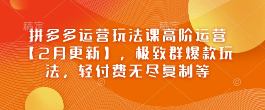 拼多多运营玩法课高阶运营【2月更新】，极致群爆款玩法，轻付费无尽复制等-88共享