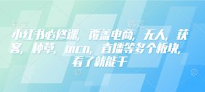 小红书必修课,覆盖电商,无人,获客,种草,mcn,直播等多个板块,看了就能干-88共享