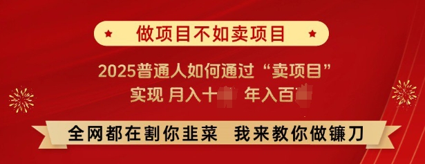 必看，做项目不如卖项目，2025普通人如何通过“卖项目”实现月入十个，年入百个-88共享