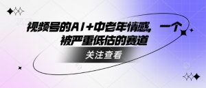 视频号的AI+中老年情感,一个被严重低估的赛道-88共享