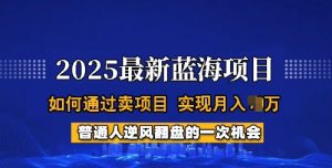 2025蓝海项目,普通人如何通过卖项目,实现月入过W,全过程【揭秘】-88共享