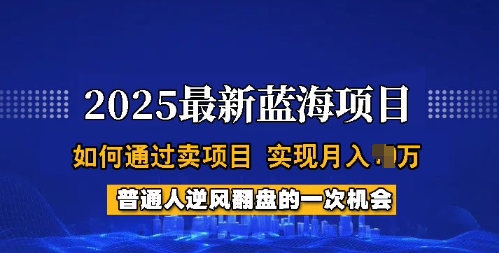 2025蓝海项目，普通人如何通过卖项目，实现月入过W，全过程【揭秘】-88共享