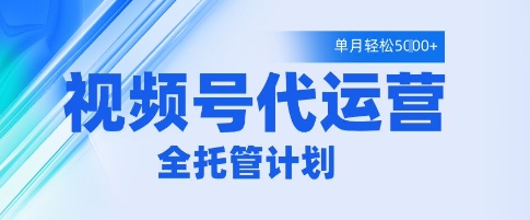 视频号代运营2.0，全程托管招募，单月轻松变现5k【揭秘】-88共享