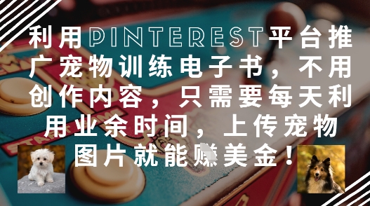 利用Pinterest平台推广宠物训练电子书，不用创作内容，只需要每天利用业余时间，上传宠物图片就能挣美金!-88共享