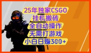 25年独家CSGO挂G搬砖,全自动操作,无需打游戏,小白日入3张+【揭秘】-88共享