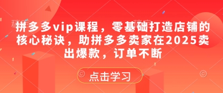 拼多多vip课程，零基础打造店铺的核心秘诀，助拼多多卖家在2025卖出爆款，订单不断-88共享