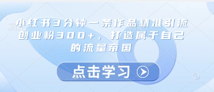 小红书3分钟一条作品精准引流创业粉300+，打造属于自己的流量帝国-88共享