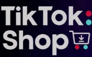 TikTokShop跨境电商0-1实战,手把手教你低成本启动海外市场(更新)-88共享