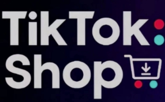 TikTokShop跨境电商0-1实战，手把手教你低成本启动海外市场（更新）-88共享