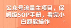公众号流量主项目,保姆级SOP手册,看完小白都能操作-88共享