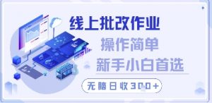 线上批改作业,操作简单新手小白首选,无脑日收300+【揭秘】-88共享