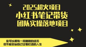 2025超火项目，副业最佳选择，小红书笔记带货团队实操落地项目，，轻松日入5张-88共享