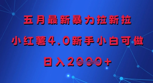 五月最新暴力拉新拉，小红薯4.0新手小白可做，日入多张-88共享