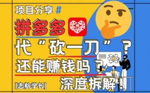 【2025最新】拼多多代坎助力项目深度拆解：还能挣钱吗?全流程玩法-88共享